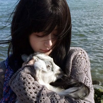 梨子树